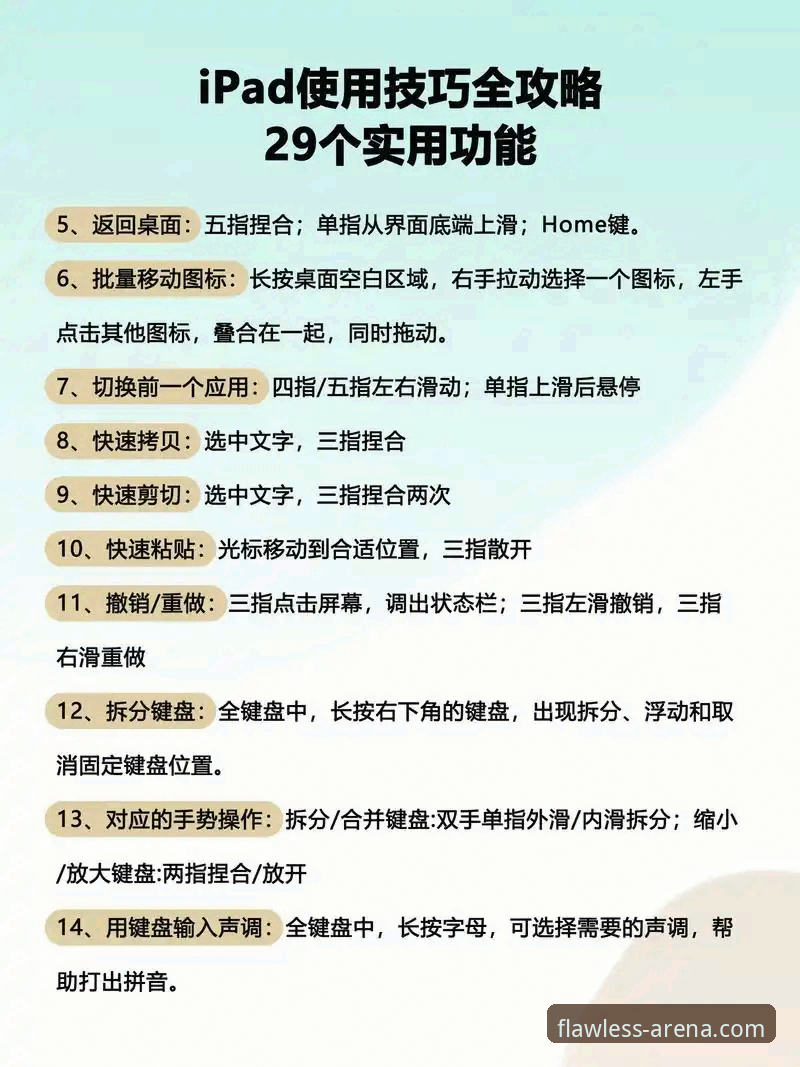 完美体育平台入口最新动态：资深用户亲授使用教程指南，解决新手常见疑问